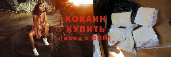прущий лед Инсар