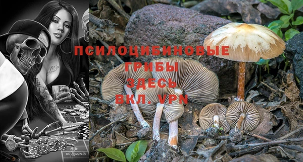 СК Иннополис