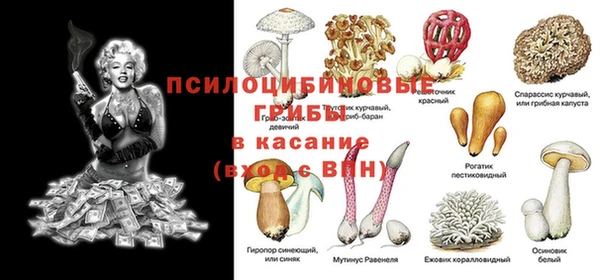 марки nbome Каменка