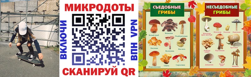Галлюциногенные грибы Cubensis  Курган 
